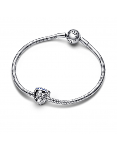 Pandora X Marvel Guardiani della Galassia Marvel. Charm Stemma Rocket Raccoon  Groot