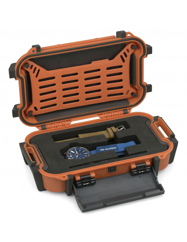 HAMILTON KHAKI AVIATION PILOT DAY DATE  AIRGLACIERS EDITION. AUTOMATICO