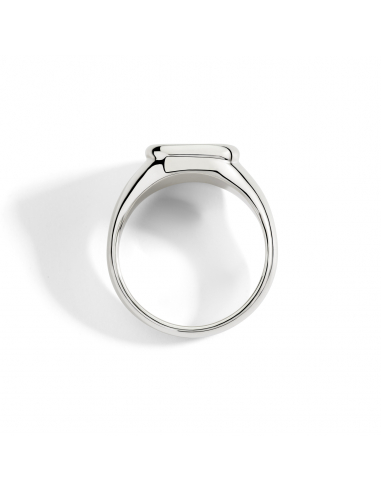 ANELLO DODO SIGILLO. ARGENTO. DIAMANTE MISURA 52