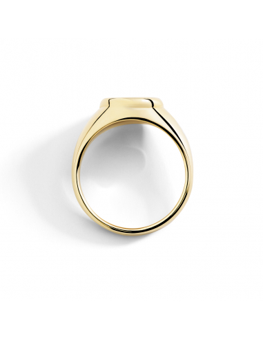 ANELLO DODO SIGILLO. ORO GIALLO. DIAMANTE MISURA 56