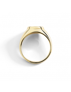 ANELLO DODO SIGILLO. ORO GIALLO. DIAMANTE MISURA 52 2