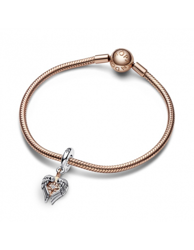 Pandora Charm Pendente Ali dAngelo e Bussola